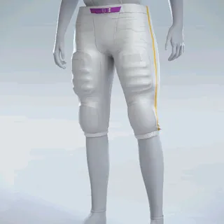 INTEGRATED PANTS