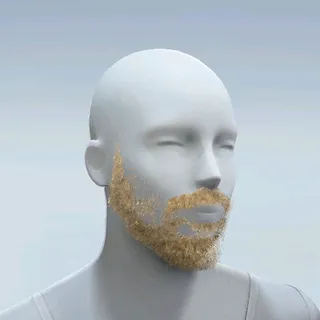 SCRUFFY BEARD