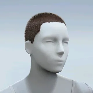 HAIR