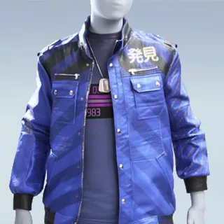 HIDDEN UPDATE