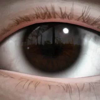 DARK BROWN EYES