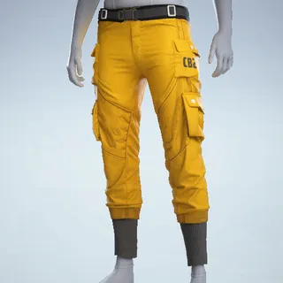 TAPERED CARGOS