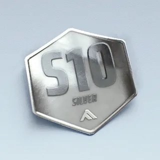S10 SILVER