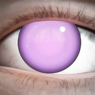 SYSTEM IRIS