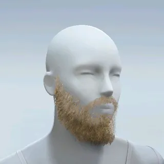 FULL BEARD