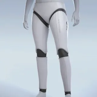 PROTOCOL WALKERS