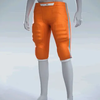 INTEGRATED PANTS