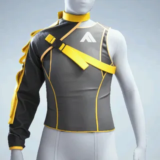 ASYMMETRICAL TOP