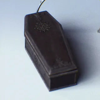 COFFIN CURIO