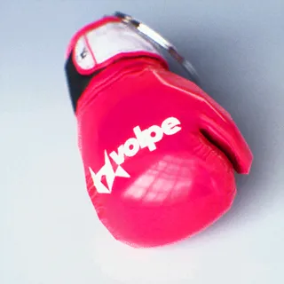 VOLPE DATAGLOVE