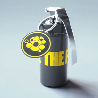 STANDARD ISSUE