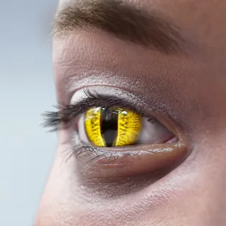 LIZARD-LOOK LENSES — Alternate