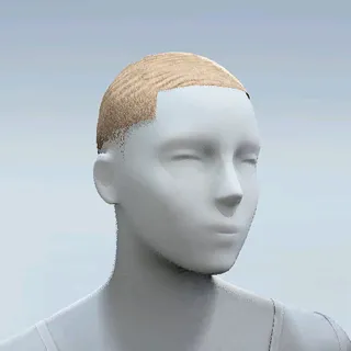 HAIR