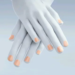 NEUTRAL CORE