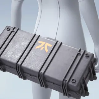 FNATIC HARD CASE