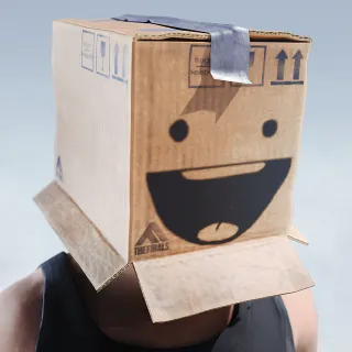 ALL BOXED IN — Alternate