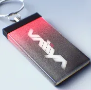PRISM CREDENTIAL