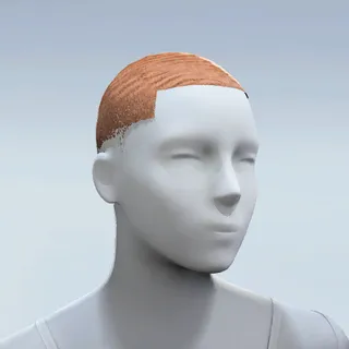HAIR