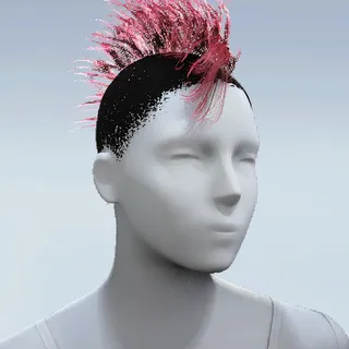 HAIR