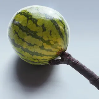 HARD FRUIT THEORY — Alternate