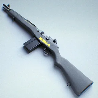 STANDARD ISSUE