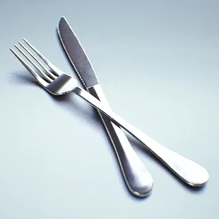 SILVERWARE SLICE