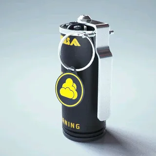 STANDARD ISSUE