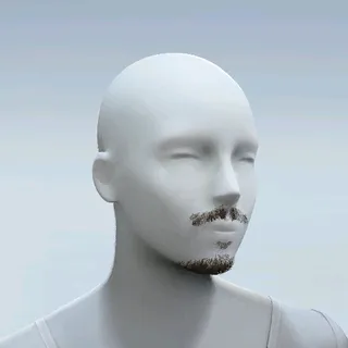 GOATEE AND MUSTACHE