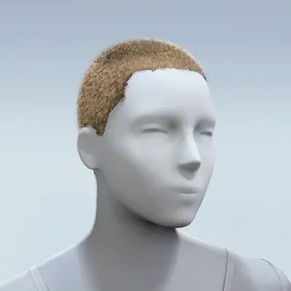 HAIR