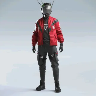 THE PUNKTUATOR