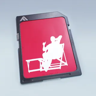 SUDDEN LOUNGE — Alternate