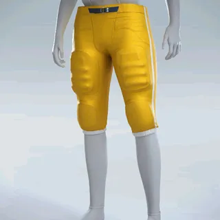 INTEGRATED PANTS