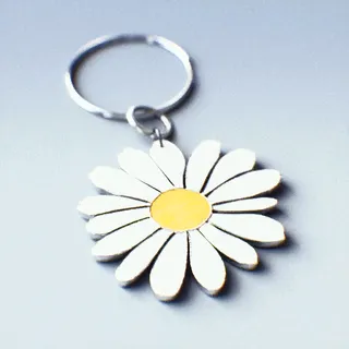 NOT-SO-COMMON DAISY
