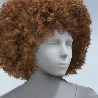 HAIR