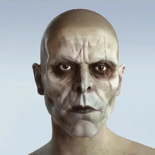 DEAD RINGER