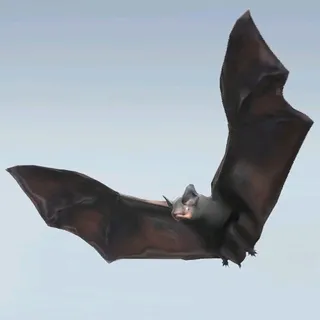 TABATHA MOONSWING