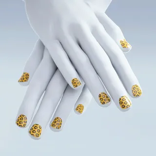 WILD PRINT