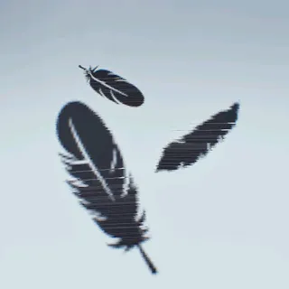 RUFFLED FEATHERS