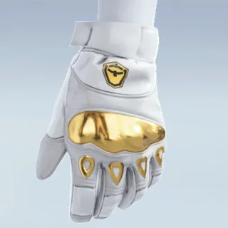 VANGUARD GLOVES