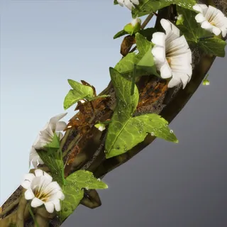 SYLWOVEN EDGE