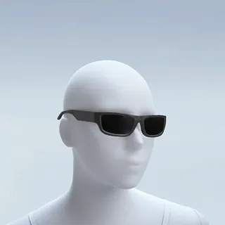 PATRIOT OPTICS