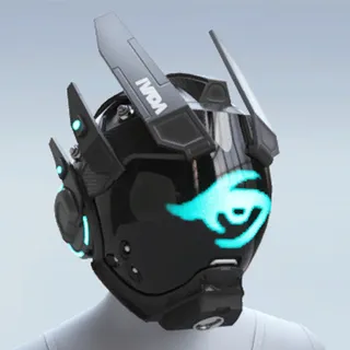 TEAM SECRET MASK