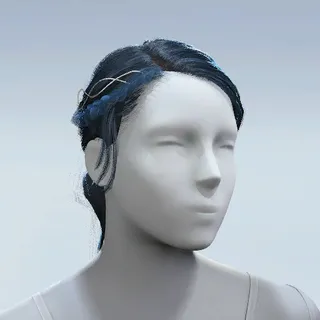 HAIR