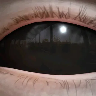 SHADOWGAZE LENSES