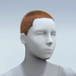 HAIR