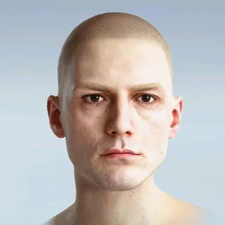 HEAD 11