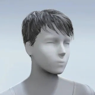 HAIR