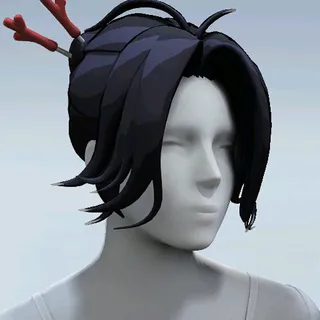 HAIR