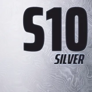 S10 SILVER SHIMMER