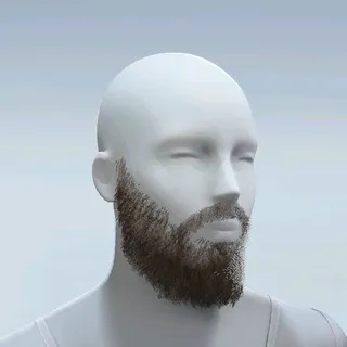 FULL BEARD